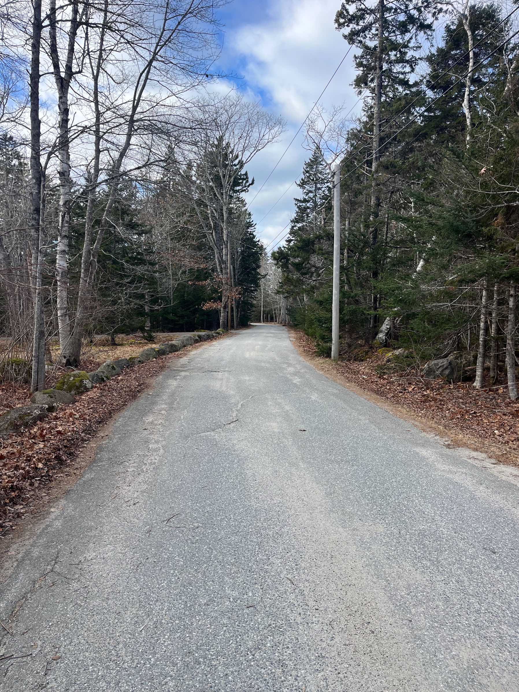 Maine College Circle